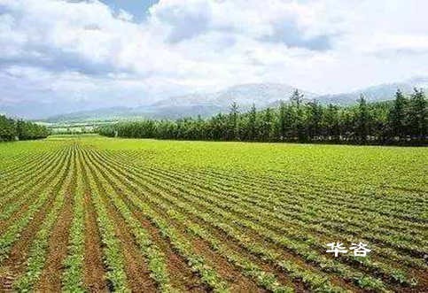 湖南城乡建设用地增减挂钩技术服务单位_提高复垦后耕地质量的思考