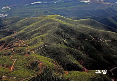 湖南永州蓝山公路项目水土保持方案(水保)顺利通过专家评议 湖南永州蓝山公路项目水土保持方案(水保)顺利通过专家评议