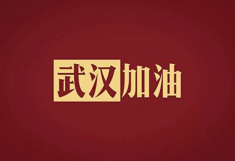 武汉加油，中国加油！华咨公司实施网络办公模式为抗击疫情发力！