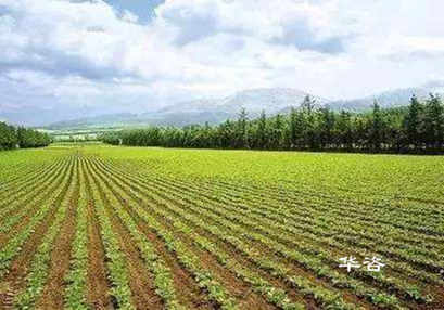 湖南城乡建设用地增减挂钩技术服务单位_提高复垦后耕地质量的思考 湖南城乡建设用地增减挂钩技术服务单位_提高复垦后耕地质量的思考