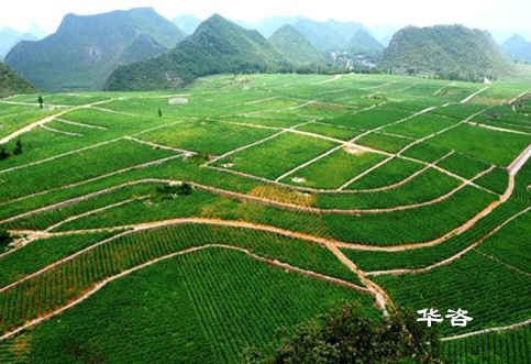 用地增减挂钩技术研究_湖南国土技术服务单位_技术研究公司