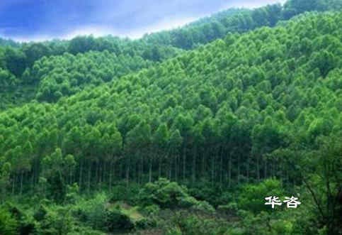 株洲本地水保单位_湖南省专业水土保持方案报告编制公司_华咨水保科技