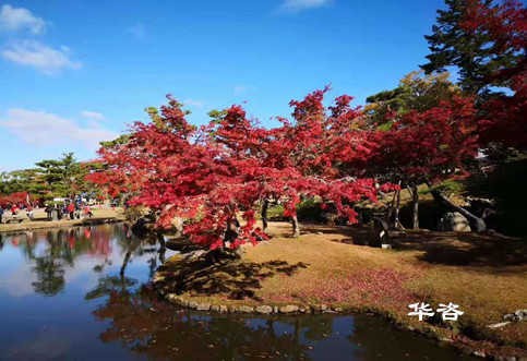 华咨公司交通工程师团队赴江西南昌就药材小镇建设项目开展交通量现状调研