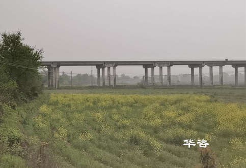 用地预审和规划选址合二为一：湖南省专业的国土咨询单位有哪家？